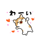 キジトラ猫と茶白猫のスタンプ（個別スタンプ：35）