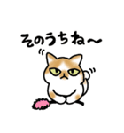 キジトラ猫と茶白猫のスタンプ（個別スタンプ：39）