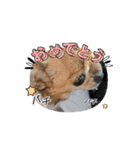 愛犬づくし（個別スタンプ：1）