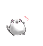 ぽちゃねこ(文字なしver.)（個別スタンプ：3）
