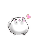 ぽちゃねこ(文字なしver.)（個別スタンプ：4）