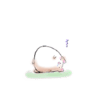 ぽちゃねこ(文字なしver.)（個別スタンプ：24）