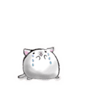 ぽちゃねこ(文字なしver.)（個別スタンプ：28）