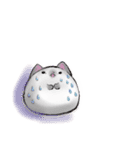 ぽちゃねこ(文字なしver.)（個別スタンプ：29）