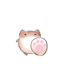 ぽちゃねこ(文字なしver.)（個別スタンプ：35）