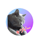 天使之晴明くんと千早ちゃん2-病弱な日常-（個別スタンプ：1）