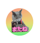 天使之晴明くんと千早ちゃん2-病弱な日常-（個別スタンプ：2）