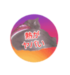 天使之晴明くんと千早ちゃん2-病弱な日常-（個別スタンプ：8）