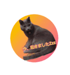 天使之晴明くんと千早ちゃん2-病弱な日常-（個別スタンプ：10）
