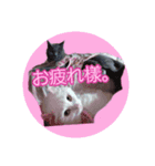 天使之晴明くんと千早ちゃん2-病弱な日常-（個別スタンプ：13）