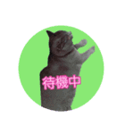天使之晴明くんと千早ちゃん2-病弱な日常-（個別スタンプ：16）