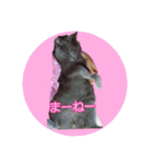 天使之晴明くんと千早ちゃん2-病弱な日常-（個別スタンプ：18）