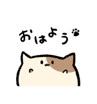 なおねこスタンプ①（個別スタンプ：1）