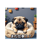 日常が楽しくなる犬のスタンプ（個別スタンプ：11）