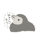 すべてを見透かすアデリーペンギンの子供（個別スタンプ：3）