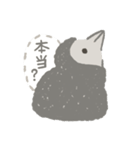 すべてを見透かすアデリーペンギンの子供（個別スタンプ：9）