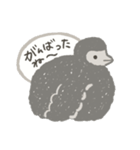 すべてを見透かすアデリーペンギンの子供（個別スタンプ：10）