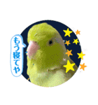 マメルリハ達23（個別スタンプ：1）