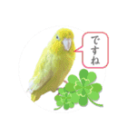 マメルリハ達23（個別スタンプ：4）