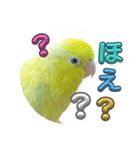 マメルリハ達23（個別スタンプ：16）