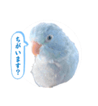マメルリハ達23（個別スタンプ：18）