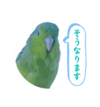 マメルリハ達23（個別スタンプ：21）