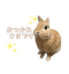 愛しのこっちゃむフィーバー丁寧（個別スタンプ：2）