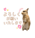 愛しのこっちゃむフィーバー丁寧（個別スタンプ：7）