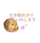 愛しのこっちゃむフィーバー丁寧（個別スタンプ：11）