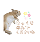 愛しのこっちゃむフィーバー丁寧（個別スタンプ：12）