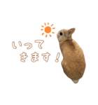 愛しのこっちゃむフィーバー丁寧（個別スタンプ：17）