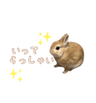愛しのこっちゃむフィーバー丁寧（個別スタンプ：18）