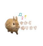 愛しのこっちゃむフィーバー丁寧（個別スタンプ：19）