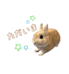 愛しのこっちゃむフィーバー丁寧（個別スタンプ：20）
