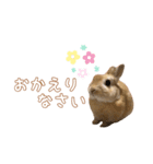 愛しのこっちゃむフィーバー丁寧（個別スタンプ：21）