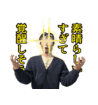カズソックス4号（個別スタンプ：7）