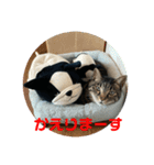 サワテトランマカベア part1（個別スタンプ：2）