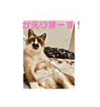 サワテトランマカベア part1（個別スタンプ：7）