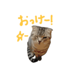 フォーエバーそらおスタンプ（個別スタンプ：2）