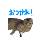 フォーエバーそらおスタンプ（個別スタンプ：3）
