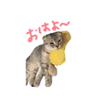 フォーエバーそらおスタンプ（個別スタンプ：9）