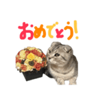 フォーエバーそらおスタンプ（個別スタンプ：15）