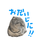 フォーエバーそらおスタンプ（個別スタンプ：27）
