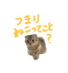フォーエバーそらおスタンプ（個別スタンプ：31）