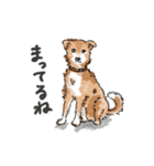 愛犬ラックと日常（個別スタンプ：6）