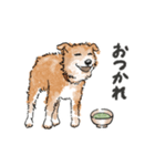 愛犬ラックと日常（個別スタンプ：10）