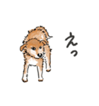 愛犬ラックと日常（個別スタンプ：14）