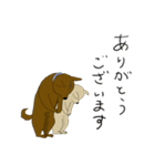 番犬会議（個別スタンプ：4）