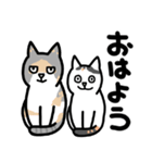 おがわさんちの猫（個別スタンプ：6）