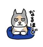 おがわさんちの猫（個別スタンプ：13）